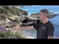Dana Point Carpet Stretch