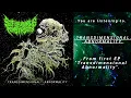 Lagu SELF DEVOURING MONSTROSITY - TRANSDIMENSIONAL ABNORMALITY [OFFICIAL EP STREAM] (2025) SW EXCLUSIVE