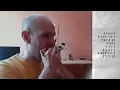 Little Walter - It's Too Late Brother (Intro) HARMONICA Hohner Marine Band Crossover (Bb)