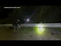 Sheriff s deputies remove alligator from highway in Brunswick Co