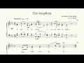 12 The Anaphora