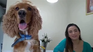 Ética e Serviço Social