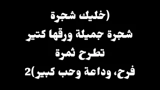 ترنيمة خليك شجرة موسيقى أصلية وكلمات 
