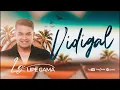 Download Lagu Vidigal