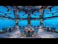 Download Lagu Underwater restaurant in the Maldives | Surreal fine dining experience