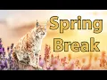 The PHSC Bobcat s Share Plans for Spring Break
