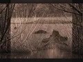 Hummingbird - Cocoon
