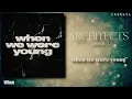 Architects - "when we were young" (LYRICS VIDEO - VISUALIZER)