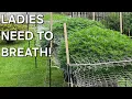 2026 Outdoor Grow Massive Center Hollow Out For Maximum Canopy Airflow