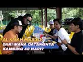 AL-KISAH MASDO : DARI MANA DATANGNYA KAMBING 40 HARI?
