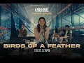 Lagu BIRDS OF A FEATHER - Chloe Leman (CARDINAL MUSIC SPACE) [COVER]