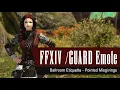 FFXIV Guard Emote - Ballroom Etiquette Pointed Misgivings Emote FF14