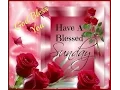 Happy Sunday - Whatsapp