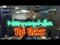 FIRE! Shredder Reacts to Nemophila, Enigma Live!