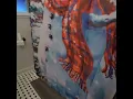 I Bought A Christmas Shower Curtain From Wish Wish Tiktok Reviews