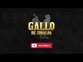 MUCHAS GRACIAS LETRA La Adictiva Lyric Video