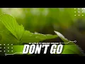 Download Lagu Baby Don't Go x Kamu Punya Pacar Lagi ( DJ Topeng Remix )