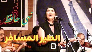 الطير المسافر غناء الفنانة نهى حاافظ لحن بليغ حمدى صالون المنارة 19 7 2023 