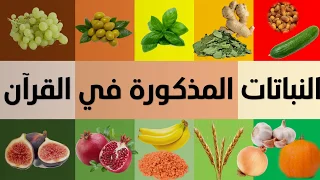 الفواكه الخضروات الأشجار الحبوب النباتات المذكورة في القرآن الكريم 