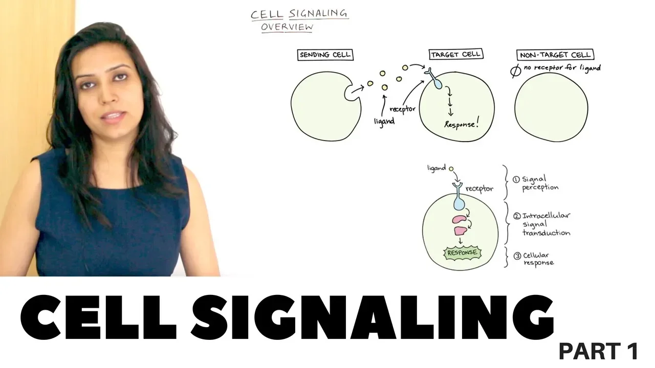 Cell Signaling Overview - Part 1