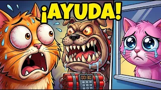 🔴 ¡Salva a Romeo en 30 segundos! 🐱🔥
