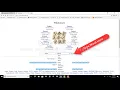 Wiktionary Guide