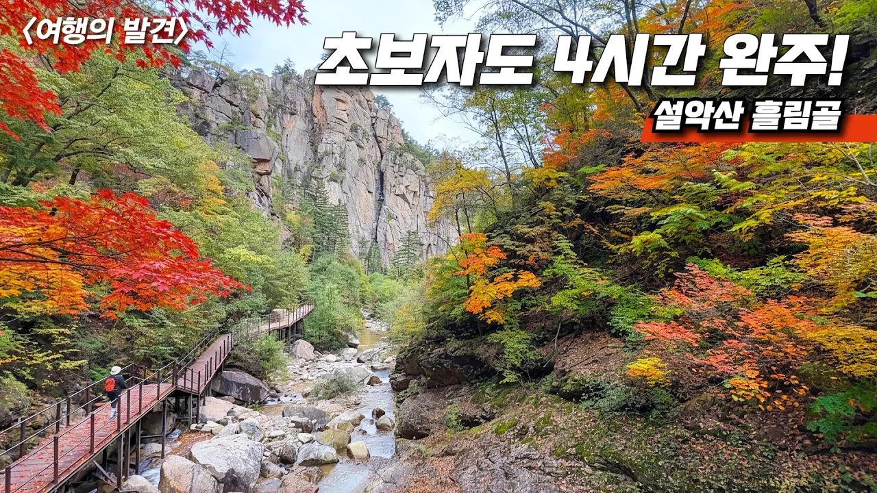 🎖️ 하루 5,000명만 입장! 예약 전쟁 중인 설악산 흘림골 트레킹 | 사라지기 전에 꼭 가보세요 | 🚌 대중교통 당일치기 여행 썸네일