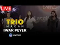 Download Lagu TRIO MACAN - IWAK PEYEK | LIVE PERFORMANCE | LET'S TALK MUSIC WITH TRIO MACAN | ALWAYS HD