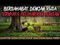 Download Lagu BERSAHABAT DENGAN RUSA YANG TERNYATA PELIHARAAN BUNIAN - cerita mistis
