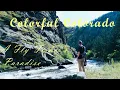 Colorful Colorado a Fly Fisher s Paradise