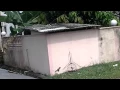 Download Lagu jebak murai kampung