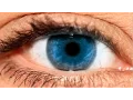 Download Lagu You're It - Alan Watts