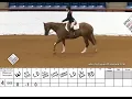 Hunt Seat Equitation - Class 1 Horse 4