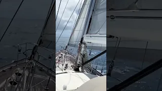 Life isn’t about waiting for the winds to change #shorts