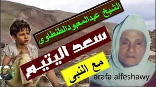الشيخ عبد المعبود الطنطاوى قصة سعد اليتيم مع النبى 