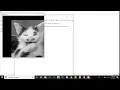 Translation Image Shift in OpenCV Python
