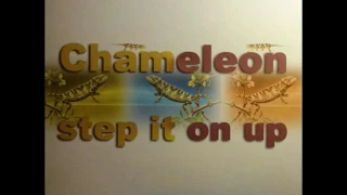 chameleon step it on up extended club mix 
