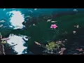 post malone - goodbyes slowed reverb rain no young thug