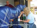 Horse Feathers Life Size Pony By Kathy Morrow