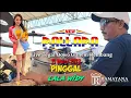 Download Lagu Pinggal - Lala Widy - New Pallapa - Spesial Kendang Cak Met -  Live Tegal Dowo Gunem Rembang 2023
