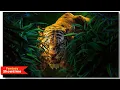 The Jungle book Animation Hollywood movie explained in hindi IMDb -7 4