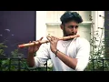 Senorita - Indian Classical Version (feat. The Flute Guy and Janan Sathiendran)