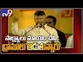 Download Lagu Chandrababu satire on Jagan over Kodi Kathi case - TV9
