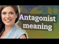 Antagonist meaning of Antagonist