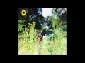 Sunflower - Rex Orange County - Instrumental