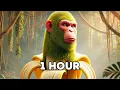 Download Lagu Shimpanzinni Bananinni - Italian Brainrot [1 HOUR]