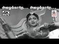 Download Lagu Azhaikkathe Azhaikkathe P.ஆதிநாராயணராவ் இசையில் P.சுசிலா பாடிய பாடல் அழைக்காதே அழைக்காதே