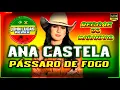 Ana Castela - Pássaro de Fogo - REGGAE LINDO 2024 - Reggae Do Maranhão - Reggae Roots@JohnLucasRemix