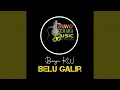 Belu Galir
