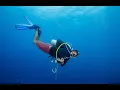 Bogle's 2025 Komodo dive trip
